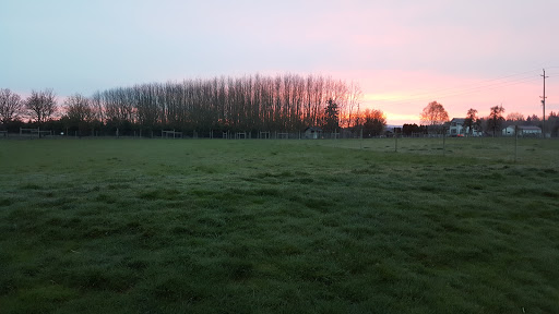 Livestock Breeder «Alpacas at Marquam Hill Ranch», reviews and photos, 35835 OR-213, Molalla, OR 97038, USA