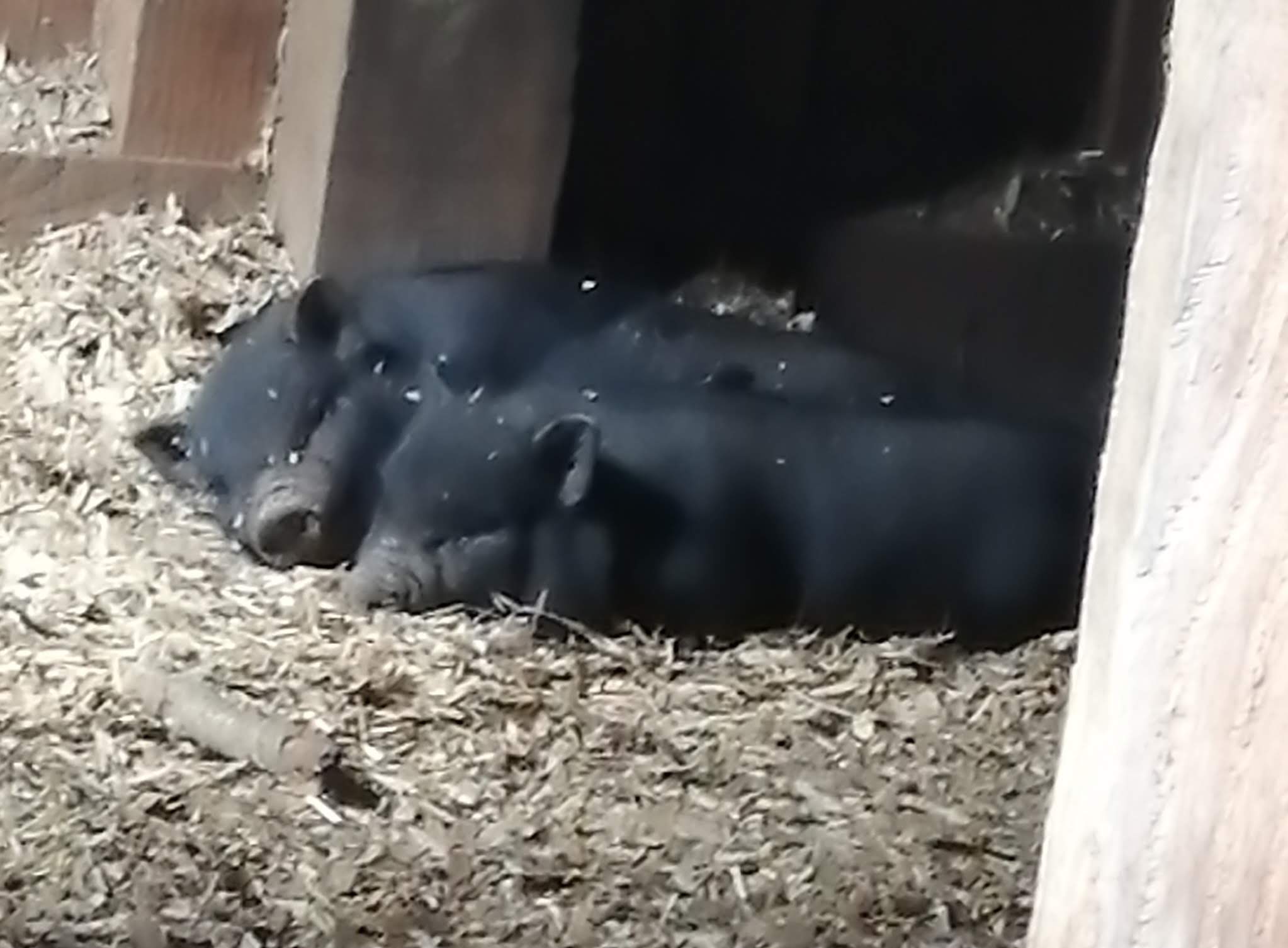 Photo n° 10 de l'avis de Phil.u fait le 11/10/2021 à 12:49