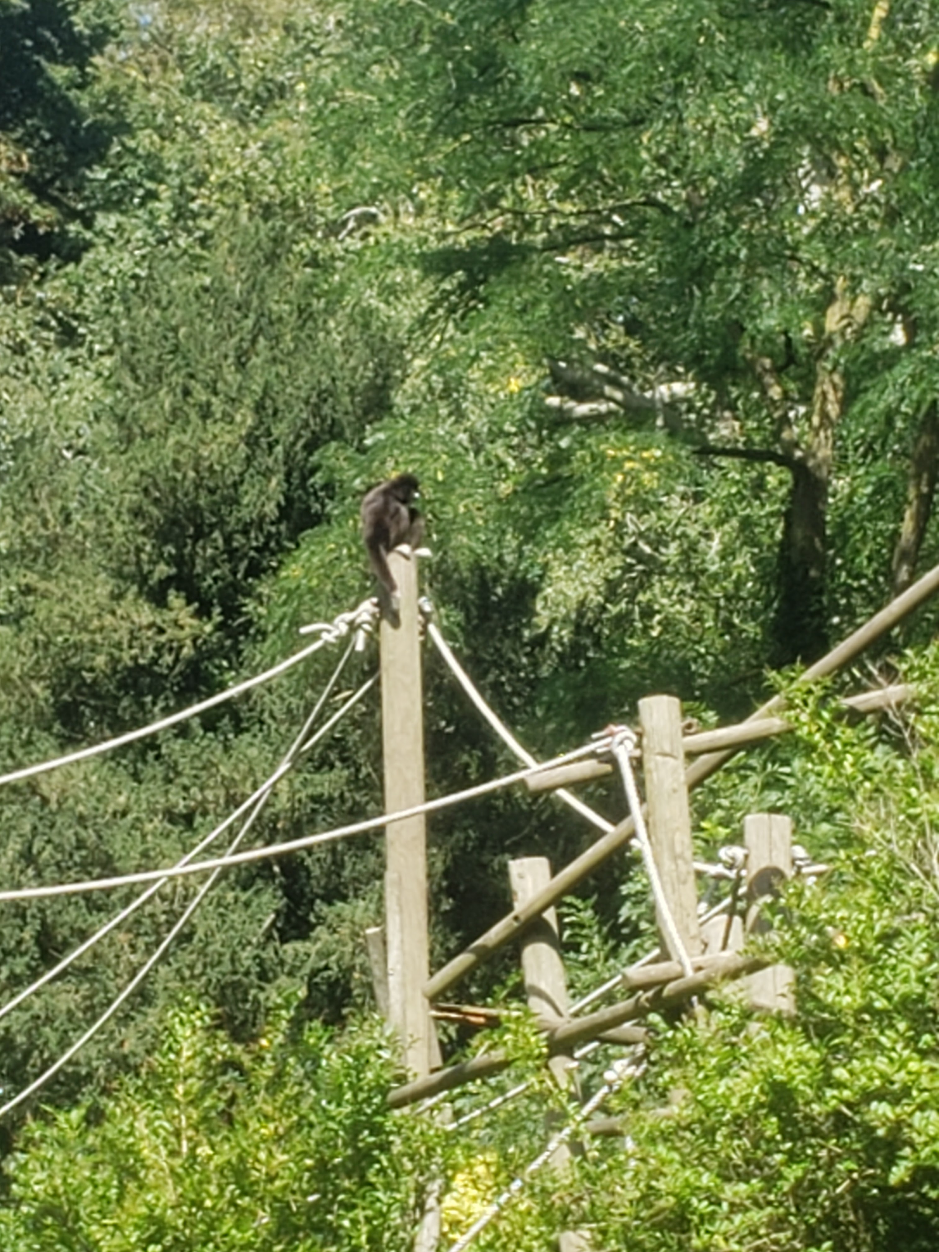 Photo n° 4 de l'avis de Severine. fait le 21/08/2023 à 19:14