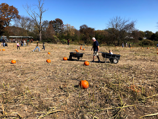 Farm «Wright Family Farm», reviews and photos, 329 Kings Hwy, Warwick, NY 10990, USA