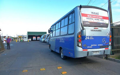 Buses San Remo