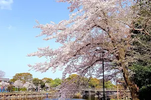 Asaiyama Park image