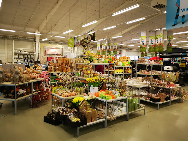 Rezensionen über Jumbo Unterentfelden in Aarau - Baumarkt