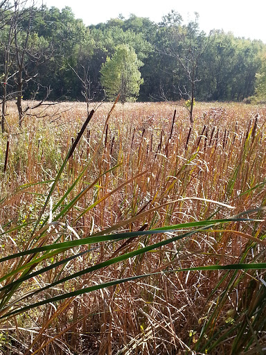 Nature Preserve «Great Flats Nature Trail», reviews and photos, W Campbell Rd, Schenectady, NY 12306, USA