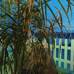 Photo n°2 de l'avis de Francesca.' fait le 05/09/2022 à 21:26 sur le  Spiaggia nel Blu à Spotorno