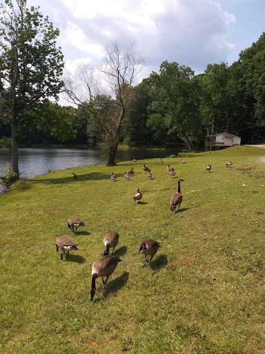 National Park «Kings Mountain National Military Park», reviews and photos, 2625 Park Rd, Blacksburg, SC 29702, USA