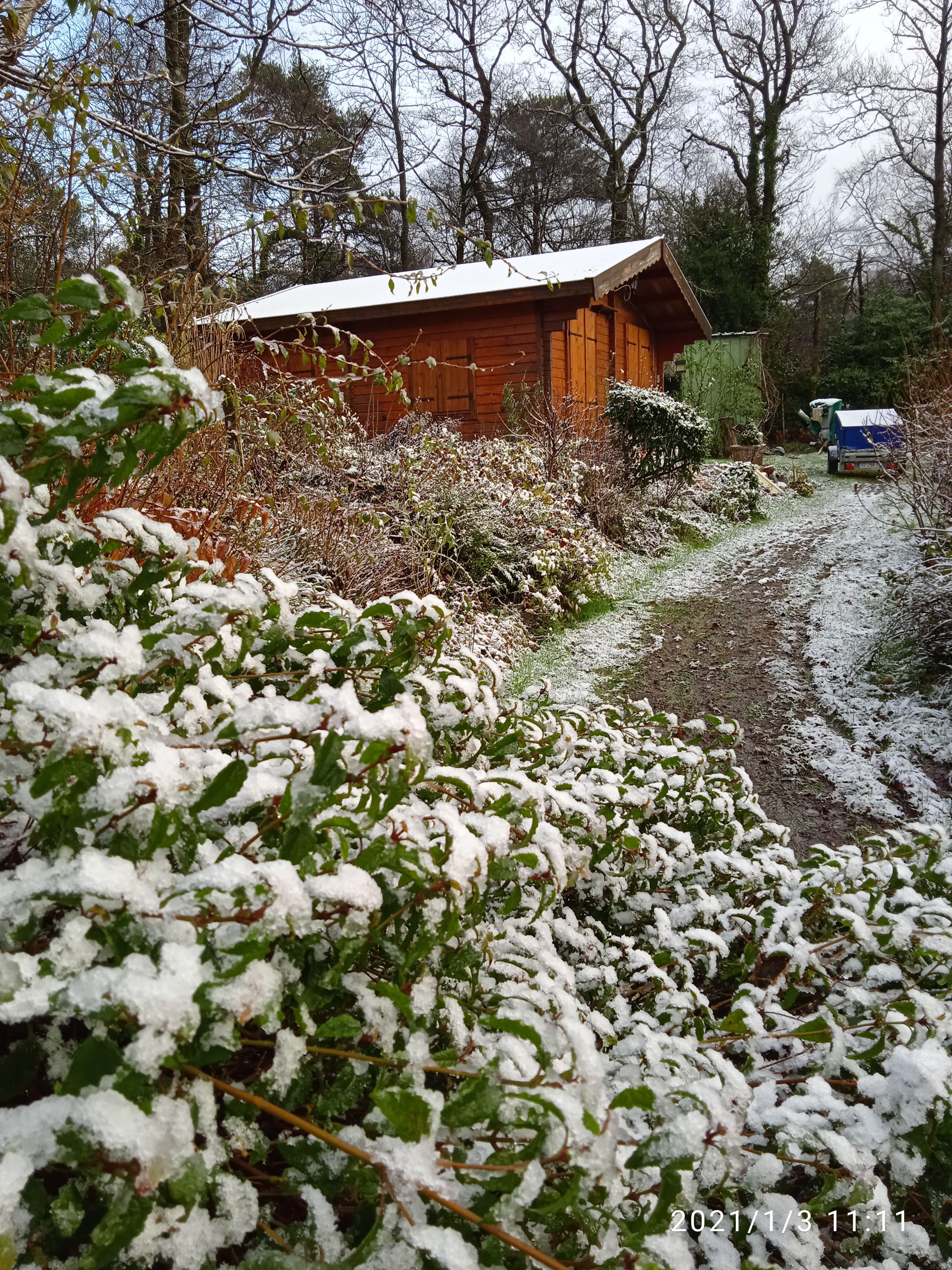 Photo n° 1 de l'avis de Thierry.z fait le 11/01/2021 à 16:15