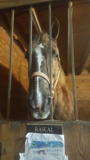 Chrislar Horse Farm and Equestrian Center