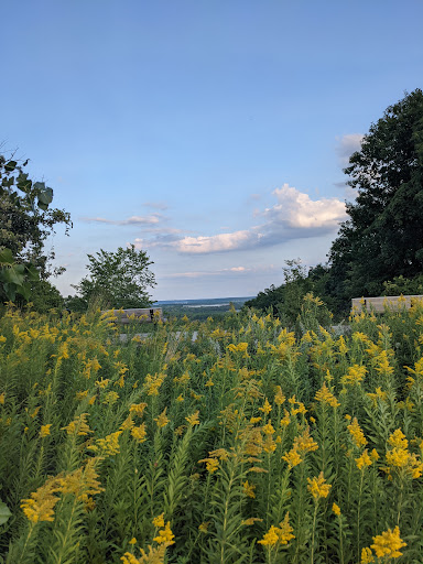 Nature Preserve «Pine Bend Bluffs Scientific and Natural Area (SNA)», reviews and photos, 111th St E, Inver Grove Heights, MN 55077, USA