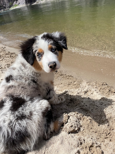 Explore aztec tattoo ideas for men, creative tattoo ideas in South Padre Island, available at Peggys Temporary & Permanent Tattoos