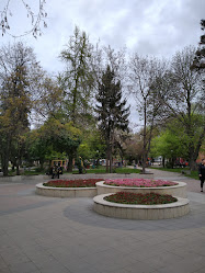 Градската градина