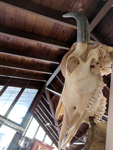 Craft Store «Leatherwise», reviews and photos, 303 Potrero St # 1, Santa Cruz, CA 95060, USA