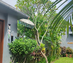 Plawa Bali Guest House photo