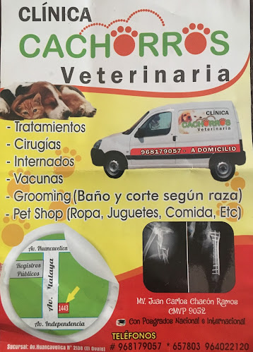 Opiniones de Clínica cachorro veterinaria en Huancayo - Veterinario