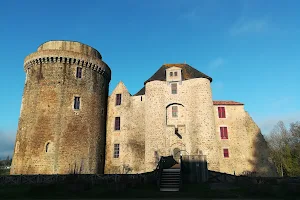Castle of Saint Mesmin image