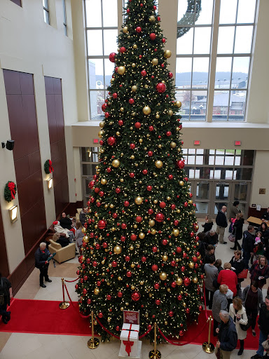 Performing Arts Group «Lincoln Park Performing Arts Center», reviews and photos