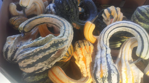 Garden Center «Laura Ann Farms», reviews and photos, 401 NY-17M, Monroe, NY 10950, USA