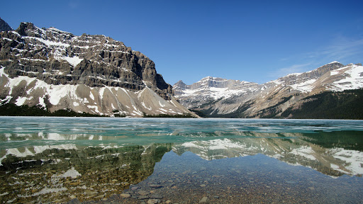 Used Car Dealer «CarMax», reviews and photos, 11880 I-35, San Antonio, TX 78239, USA