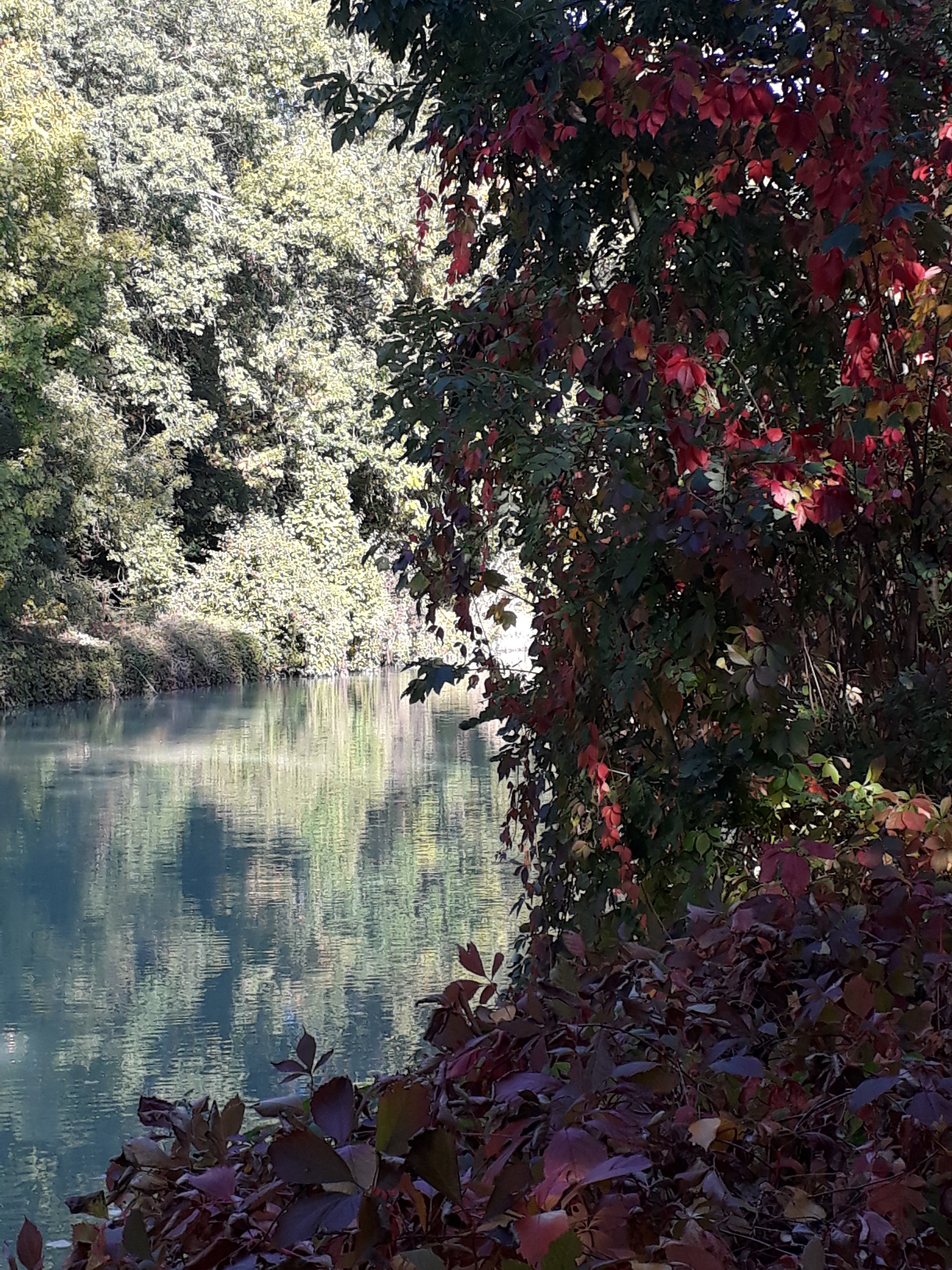 Photo n° 2 de l'avis de Catherine. fait le 15/10/2018 à 08:40