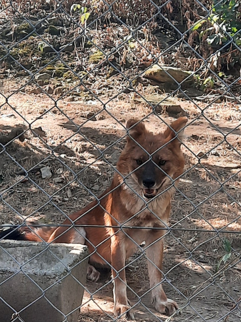 Photo n° 1 de l'avis de Yolande.� fait le 08/09/2023 à 17:39