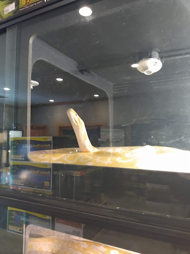 Pet Store «Miles of Exotics», reviews and photos, 8350 N Broadway, Kansas City, MO 64118, USA