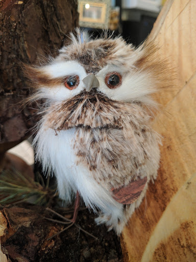 Florist «Petals Floral Design and Gifts», reviews and photos, 202 E Rio Grande Ave, Wildwood, NJ 08260, USA