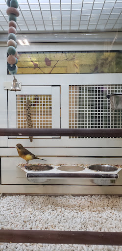 Pet Supply Store «PetSmart», reviews and photos, 466 S Watson Rd, Buckeye, AZ 85326, USA