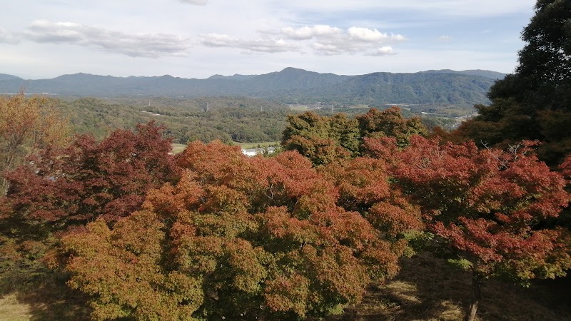 権現山京都府歴史的自然環境保全地域