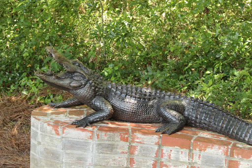 Zoo «Lowcountry Zoo», reviews and photos, 1931 Brookgreen Garden Drive, Murrells Inlet, SC 29576, USA