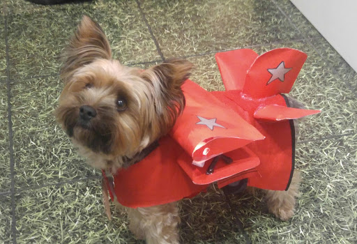 Pet Store «Muttropolis La Jolla», reviews and photos, 7755 Girard Ave, La Jolla, CA 92037, USA