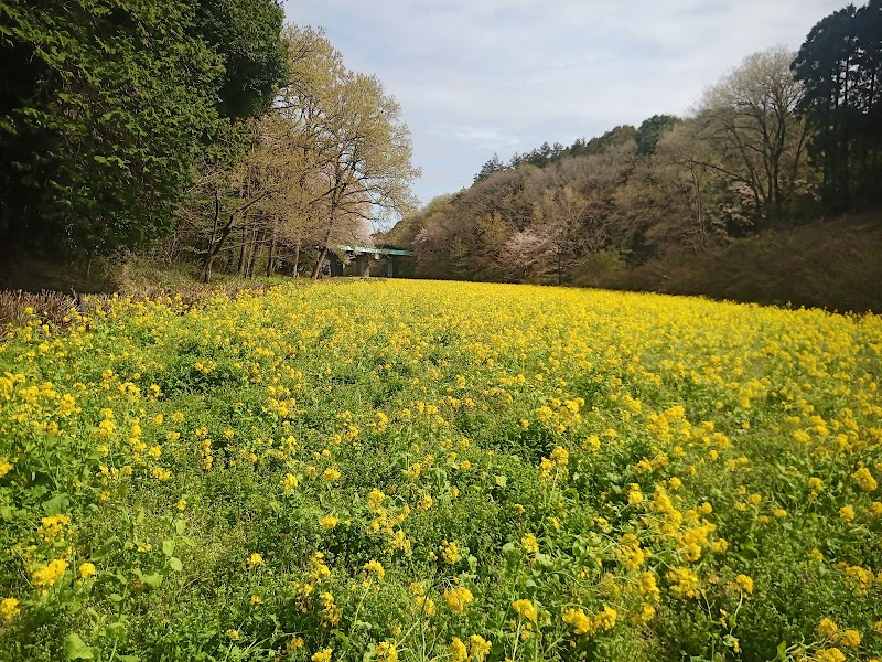 矢指市民の森