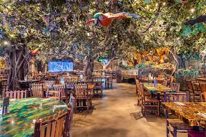 Rainforest Cafe image