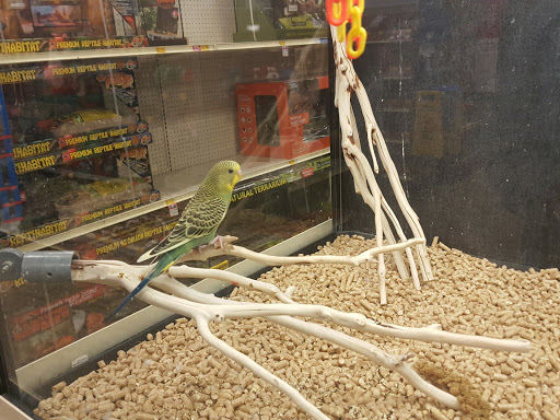 Pet Supply Store «PetSmart», reviews and photos, 300 NJ-18, East Brunswick, NJ 08816, USA