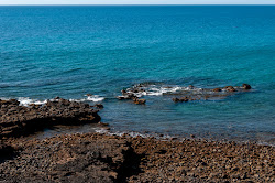 Playa de Puerto Rico'in fotoğrafı vahşi alan