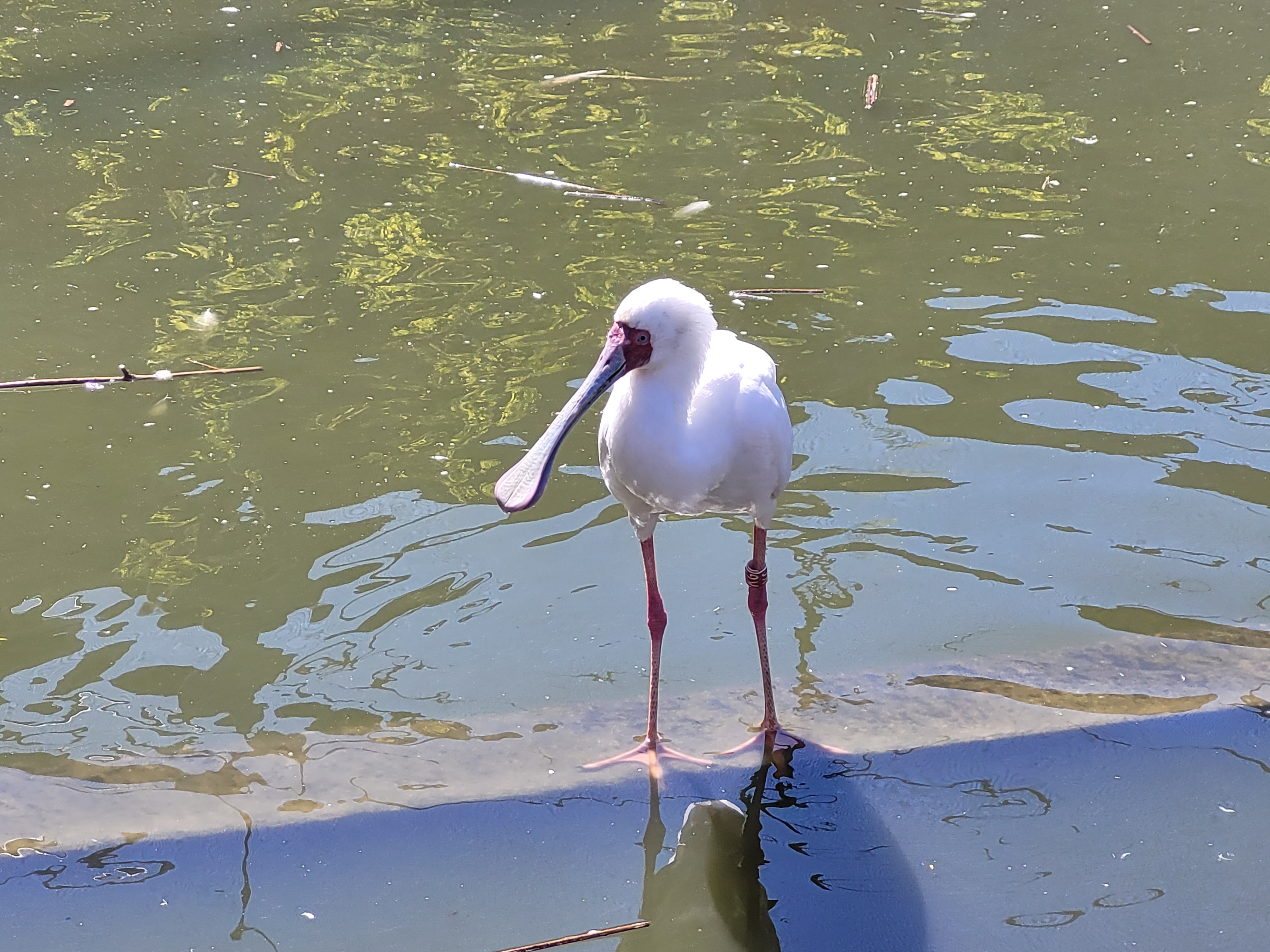 Photo n° 2 de l'avis de Nathalie.o fait le 17/04/2022 à 11:27