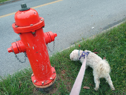 Golf Course «Forest Park Golf Course», reviews and photos, 2900 Hillsdale Rd, Baltimore, MD 21207, USA