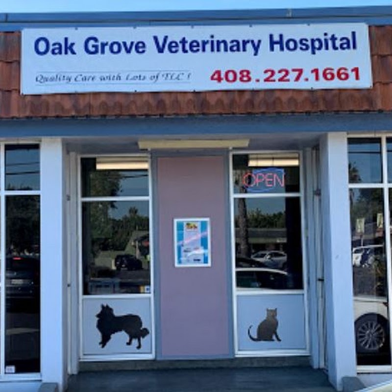 Oak Grove Veterinary Hospital