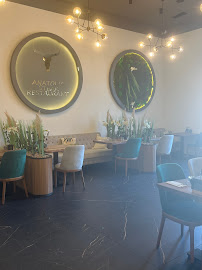Atmosphère du Anatolia Premium Restaurant à La Valette-du-Var - n°5