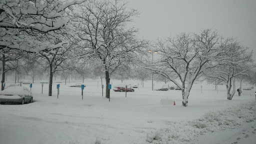 Insurance Company «Blue Cross and Blue Shield of Minnesota», reviews and photos