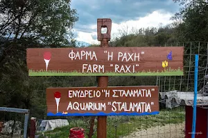 Φάρμα "Η Ράχη" - Farm " Raxi " Greece image