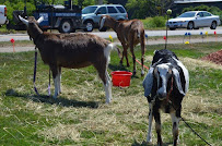 Auto Body Xperts - Photo 9 - Car repair in Holland, MI, Holland