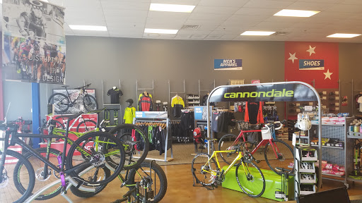 Bicycle Store «Bike America», reviews and photos, 700 N University Dr, Hollywood, FL 33024, USA