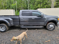 Tint Lady Window Tinting & Car Detailing - Photo 7 - Car repair in Bellingham, WA, Bellingham