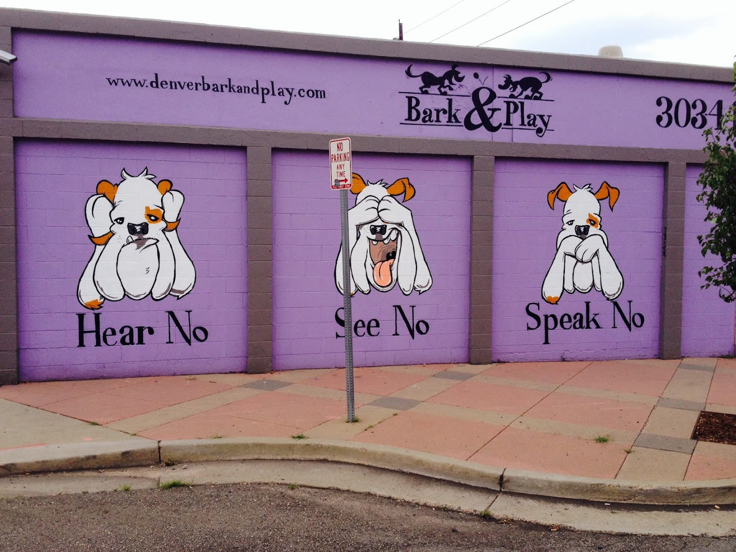 Bark and Play Denver Dog Daycare and Boarding