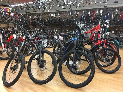 Bicycle store Winston-Salem