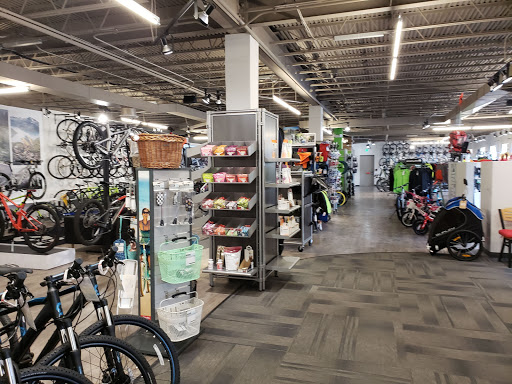 Bicycle wholesaler Maryland