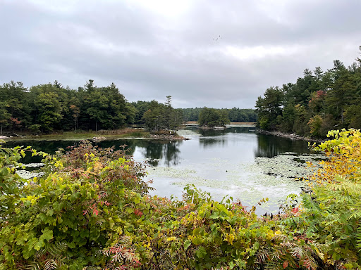 Gift Shop «Duty Free Americas», reviews and photos, 46792 Route 81, Alexandria Bay, NY 13607, USA