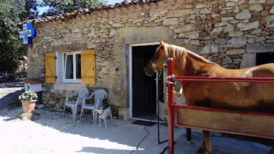 Cabinet Vétérinaire de Mesplès à Castéra-Verduzan
