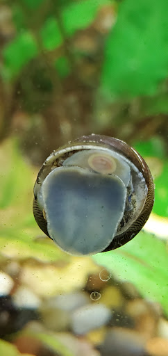 Pet Store «M V Pets», reviews and photos, 7429 S Westnedge Ave, Portage, MI 49002, USA