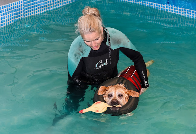 Reviews of Well Dog Hydrotherapy in Peterborough - Veterinarian